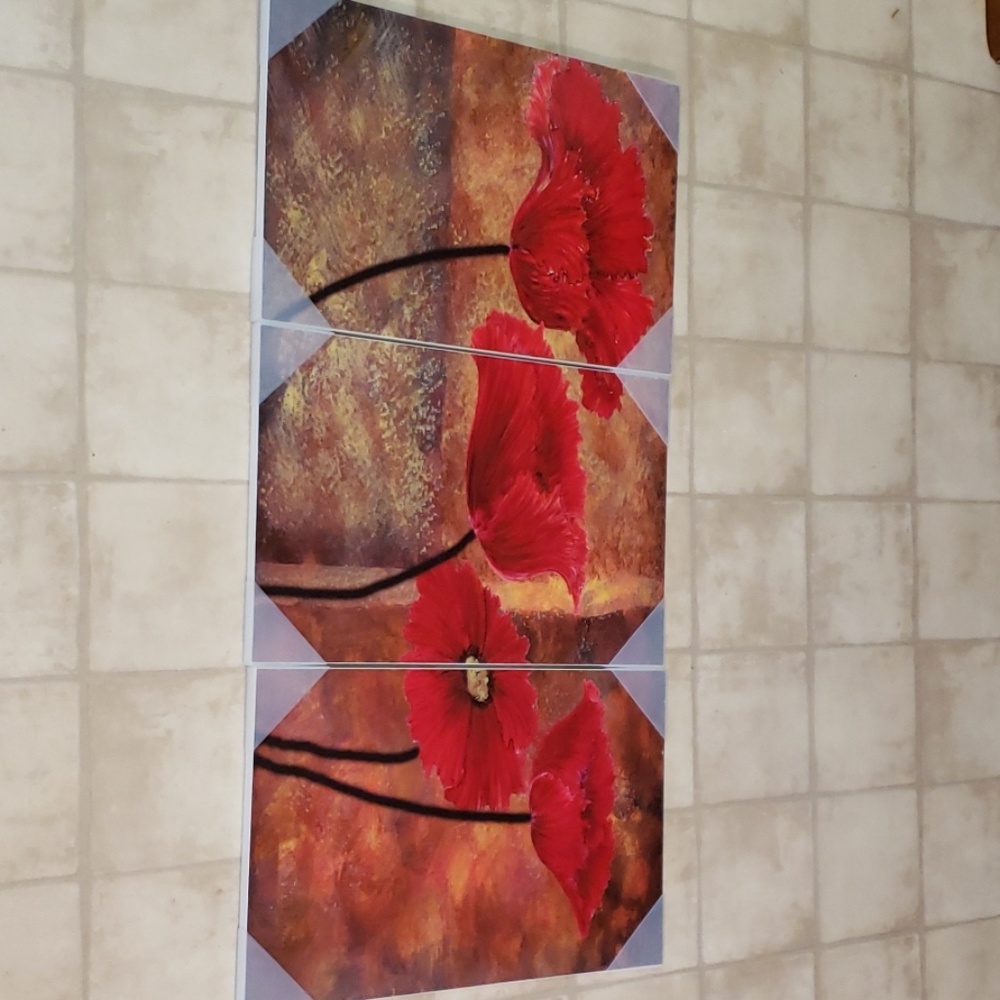 Poppies On Spice 3 piece Triptych Wall Plaque